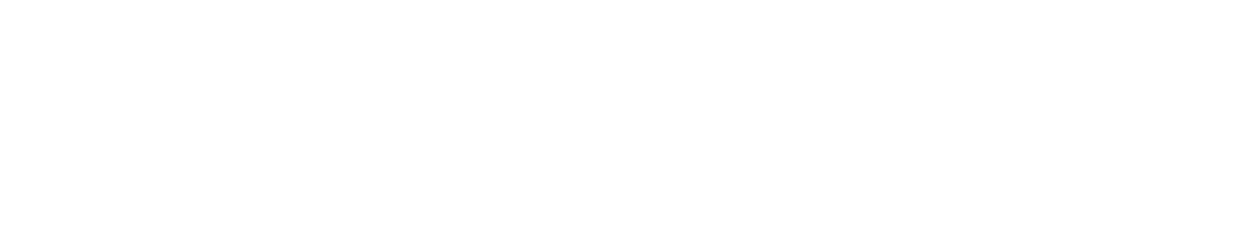 logo light